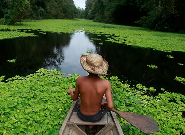 Amazônia 360